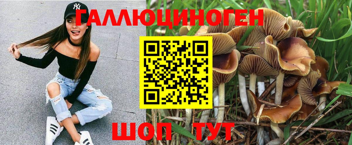 даркнет сайт  Псилоцибиновые грибы MAGIC MUSHROOMS  Нижнекамск  Вход с VPN  Галлюциногенные грибы GOLDEN TEACHER 